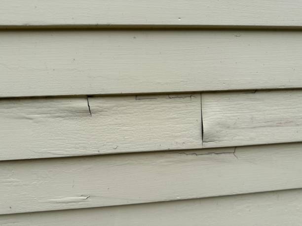 River Ridge, FL Siding Installation & Repair Company